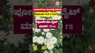 Davanagere flowers market today rates update/18/01/2025