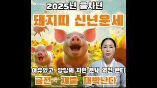 🌟 2025년 을사년 돼지띠 신년운세 🌟 여유있게 당당해지자 태연하게 행동하면 좋다 금전ㆍ재물 넘쳐나 대박난다 ~!돼지띠분들 을사년 대박나봅시다