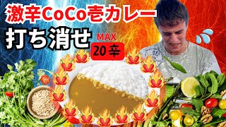 【CoCo壱史上1の辛さ!?】最近発売された20辛のカレーがやば過ぎた