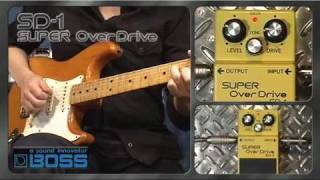 BOSS SD-1 SUPER OverDrive [BOSS Sound Check]