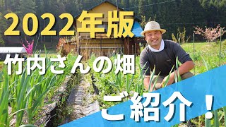 【自然菜園】竹内さんの畑の見学会6/26（日）は、テーマは「草マルチの極意」です！