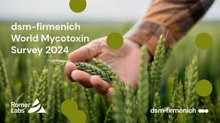 dsm-firmenich World Mycotoxin Survey 2024: Focus on Scandinavia