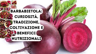 Barbabietola: Storia, Curiosità e Usi in Cucina,  Coltivazione e Benefici Nutrizionali