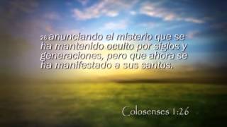 Reavivados por su Palabra - 29/4/2015 - Colosenses 1