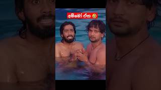 හපෝ මේ මොකද 🤣💥 #ලලයි_ලිලියි_ලූ #trending #viral #shortsvideo #shorts #suwarnawahini