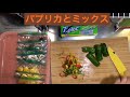 買い物後の 収納 カット冷凍 お弁当用 カット野菜 7日〜10日分 説明の必読よろしくお願いします。🙇‍♀️