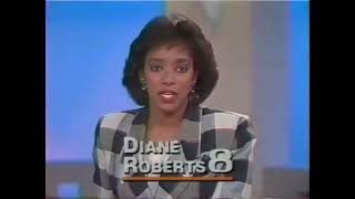 Diane Roberts WFLA TV Newswatch 8 Promo