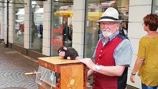 Awesome street music performance - Street Organ Grinder