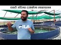 बायोफ्लक प्रविधि यसरी गरिन्छ ट्यांकीमा माछापालन biofloc fish farming in nepal सम्पूर्ण जानकारी