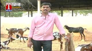 Farmer Y Purnachandra Reddy About Sheep   Goat Farming   Chenu Chelaka   TNews HD