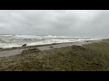 extremes hochwasser an der ostsee schwere sturmflut norddeutschland ostseeeküste bäume umgestürzt