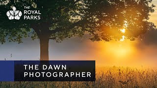 The Dawn Photographer - moments of peace in Richmond Park