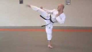 mawashi geri