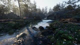 Unity HDRP Test - Forest Scene 4k