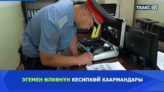 Эгемен өлкөнүн кесипкөй каармандары