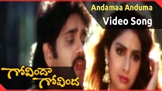 Govinda Govinda Movie || Andamaa Anduma Video Song ||  Nagarjuna, Sridevi