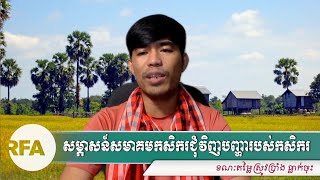 សម្ភាសន៍សមាគម​កសិករ​ជុំវិញបញ្ហារបស់កសិករ ខណៈតម្លៃ​ស្រូវ​ប្រាំង​ ធ្លាក់ចុះ