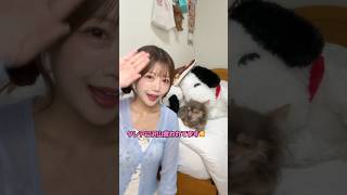 愛犬が保護犬になった理由がやばすぎた😢😢 #tiktok #shorts