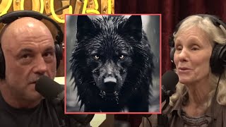 Are super wolves real?! how wolves travel across america! JRE #2213 Diane K. Boyd