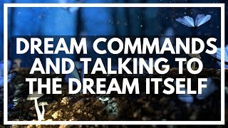 Talking To The Dream - HowToLucid.com