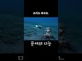 문어가 똑똑한지 알 수 있는 재밌는 사실 5가지 shorts