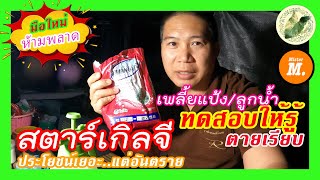 ทดสอบสตาร์เกิ้ลจี ไม่ได้มีดีแค่ในดิน กำจัดสิ้นทุกตัว รอดยาก