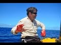 Coral Sea Fishing Video!!  Abington Reef!! Part 2!!