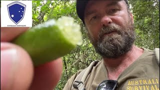 Hiking in South East Queensland