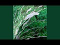 Under All That Kudzu