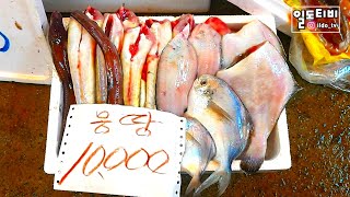 백사장어촌계수산시장/ 몽땅 만원이라니..../sea food/ fish market/korea