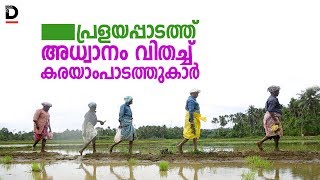 പ്രളയപ്പാടത്ത് അധ്വാനം വിതച്ച് കരയാംപാടത്തുകാർ