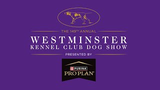 91st Anniversary Junior Showmanship Finals | Westminster Kennel Club Dog Show