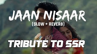 Jaan Nisaar [Slowed+Reverb] - Arijit Singh | Kedarnath | Music Lyrics | Textaudio || lo-fi song