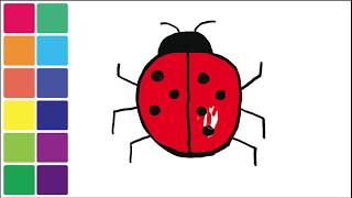 How to draw a colorful ladybug 学习画一只七星瓢虫