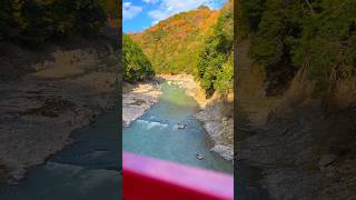 一生に一回は乗りたい、嵐山の「嵯峨野トロッコ列車」が最高すぎた🚞🍁 #京都観光