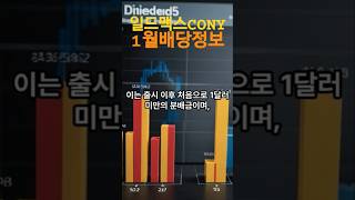 일드맥스 CONY 1월배당정보