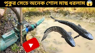 পুকুর সেচে অনেক বড় বড় শোল মাছ 🐠 এবং কই মাছ ধরলাম | village unique fishing