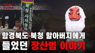 할아버지에게 들은 범 이야기와 부산의 산에서의 장산범 목격담 | 장산범 [괴생명체]