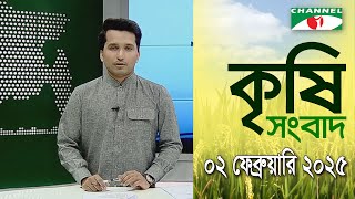 চ্যানেল আই কৃষি সংবাদ | Channel i Krishi News | 02 February, 2025 || Channel i News