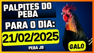 PALPITE DIA 21/02/2025 - JB TODAS LOTERIAS🍀