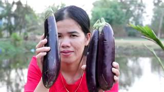 Awesome Cooking Grilled Eggplant W/ Soy Sauce Recipe -  Eating Food Delicious - Village Food Factory