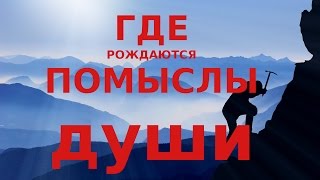 Душа человеческая Сердце (душевное) Профессор Н. Е. Пестов