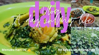 daily vlog/daun katuk,janten dan sisa ayam panggang di gulai ternyata,enak,mantap di jamin ketagihan