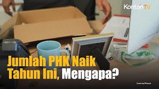 Jumlah PHK Naik di Tahun 2024, Apa Penyebabnya? | Kontan News