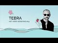 art vibes sessions 019 tebra organic house