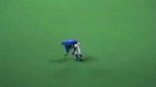 20070517 試合終了後のドアラ