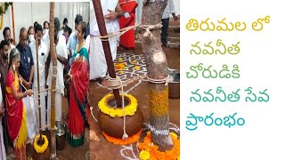 తిరుమల లో నవనీత చోరుడికి నవనీత సేవ ప్రారంభం