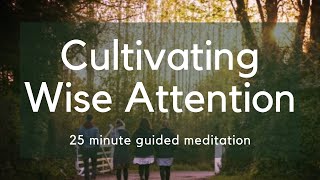 Guided Meditation Cultivating Wise Attention | Subhadramati