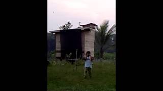 Gambar Desain Rumah Walet Sederhana