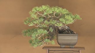 展覧会「ＢＯＮＳＡＩ　―宇宙を画く―」／埼玉県